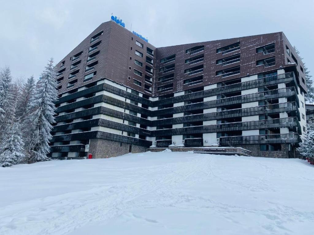 Alpin Resort Hotel - Apartamentele 2403-2404- Proprietate Administrata De Gazda Privata Poiana Brašov Exteriér fotografie